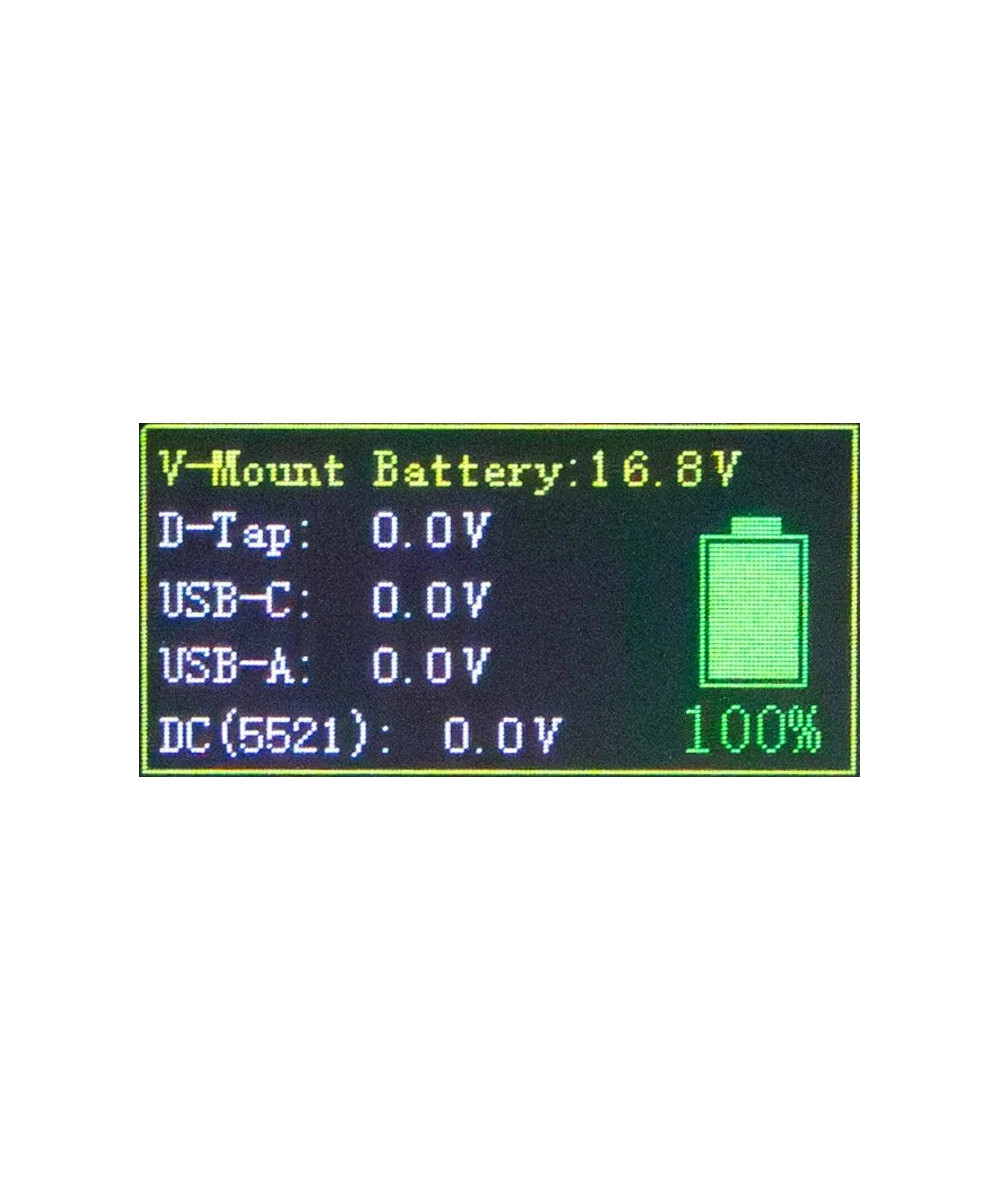 Platinum V-Mount Batteria BP-99W PD65 99Wh USB-C USB-A 2xD-Tap DC-out inclusa Custodia rigida