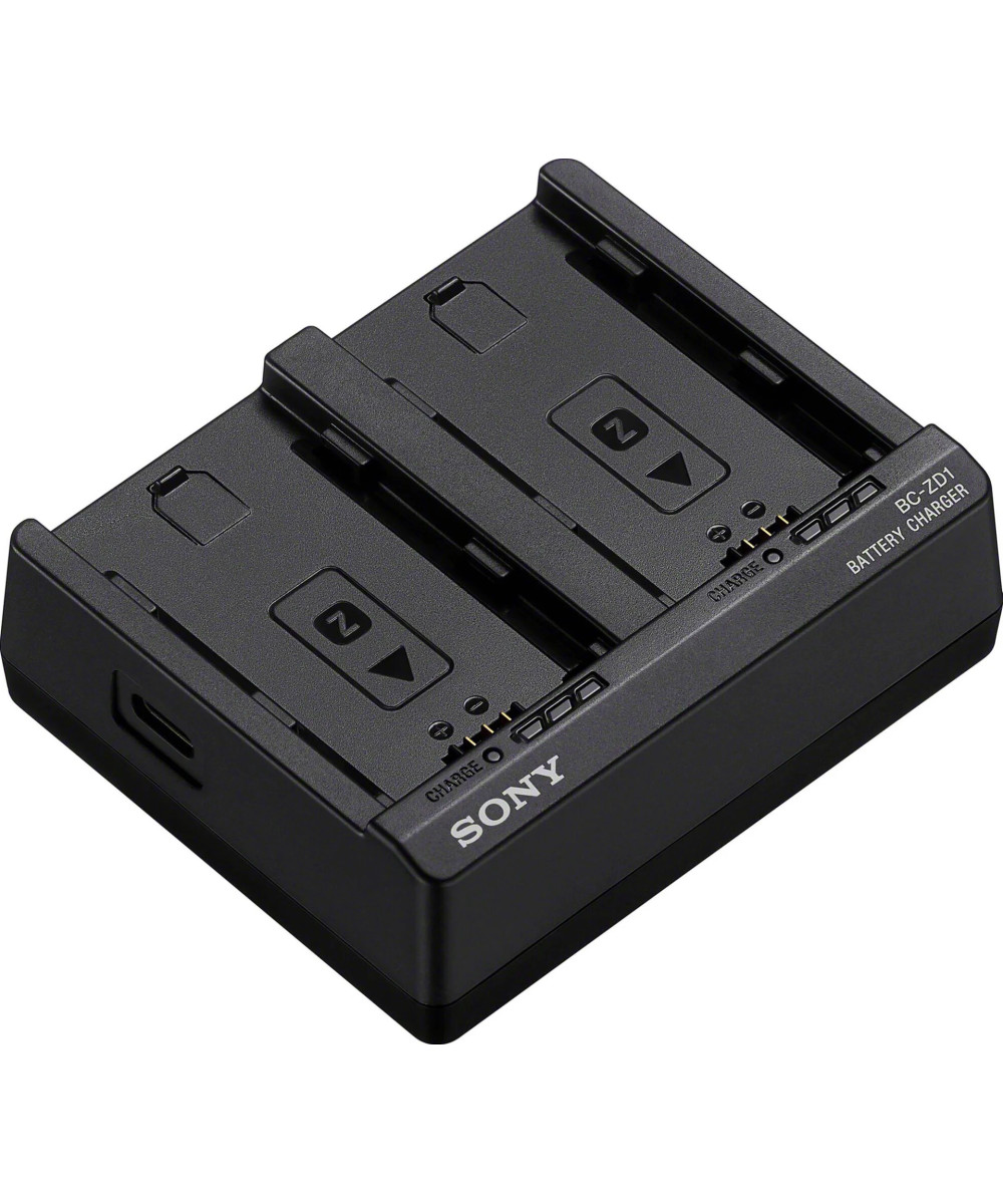 BC-ZD1 Caricabatterie doppio per NP-FZ100
