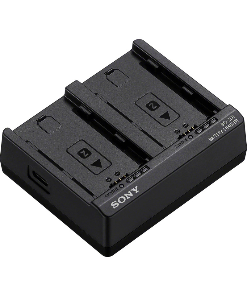 BC-ZD1 Caricabatterie doppio per NP-FZ100