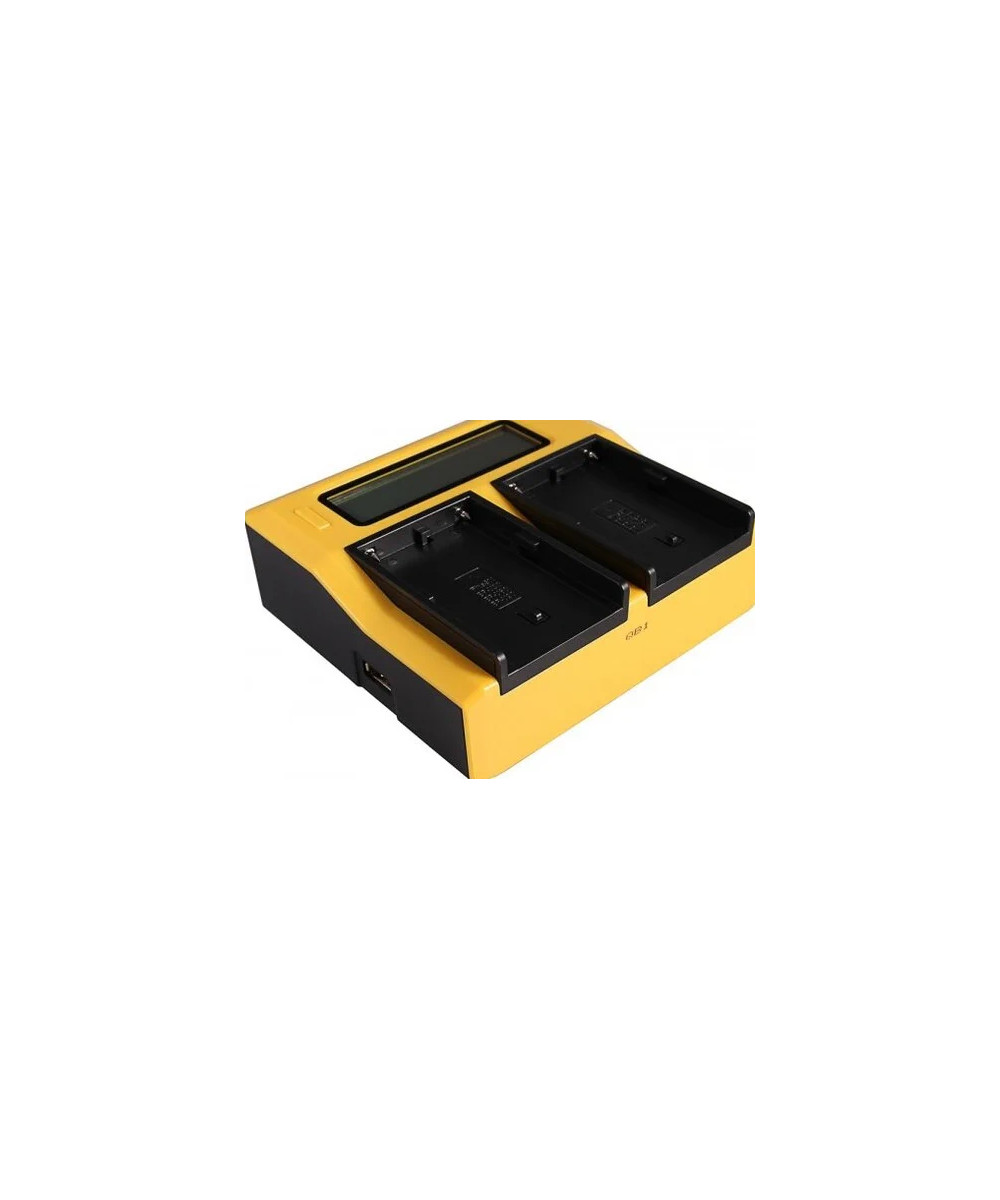 Caricabatteria LCD USB doppio per Sony BP-U30 BP-U60 BP-U90