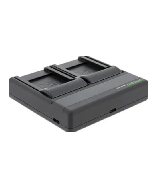 Carica Batterie Premium Dual PD Performance per Sony BP-U60 USB Ingresso/Uscita