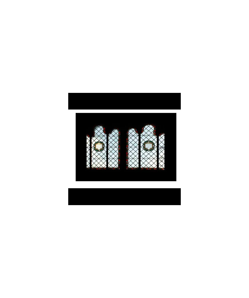 Godox AK-S04 Set Diapositive 4 per Proiettore AK-R21 - 10pz