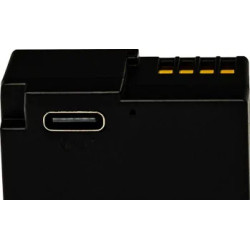 PATONA PLATINUM BATTERY WITH USB-C INPUT FOR PANASONIC DMW-BLC12 FZ2000 FZ300 GX8 G81 GH2