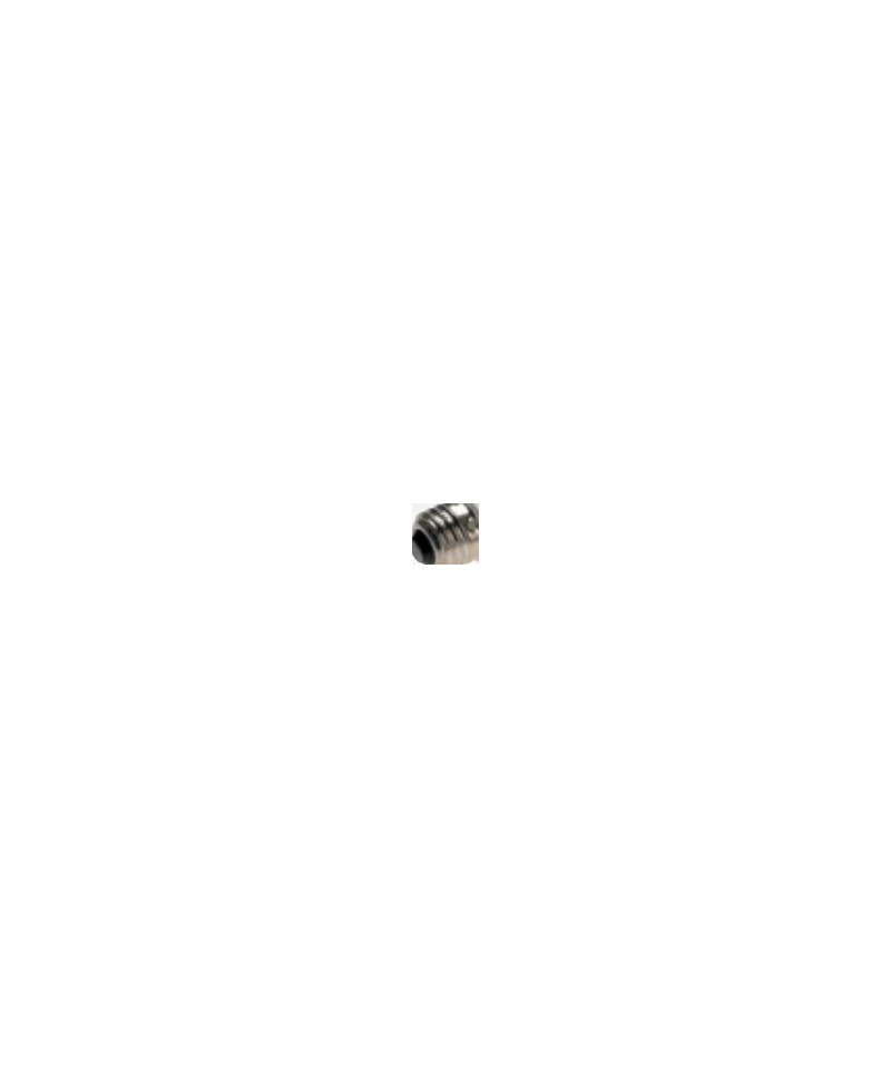 561236 accessorio per flash di studio fotografico Lampada