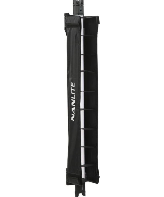 BD-PTII15C+EC accessorio per flash di studio fotografico Paraluce