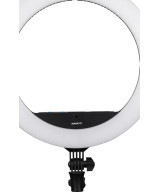 Halo 16C 31 W