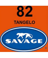 Fondale in cartoncino Tangelo 2,72 x 11 metri