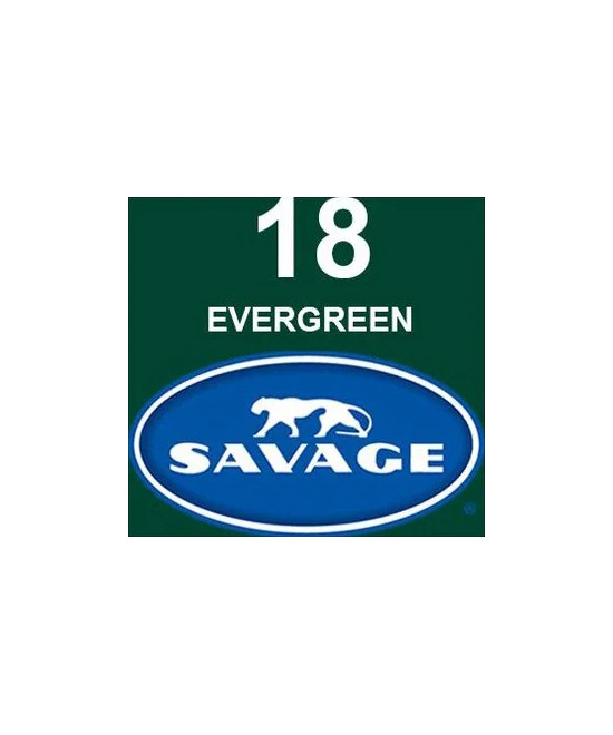 Fondale in cartoncino Evergreen 2,72 x 11 metri
