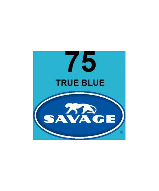 Universal True Blue Seamless Paper Blu