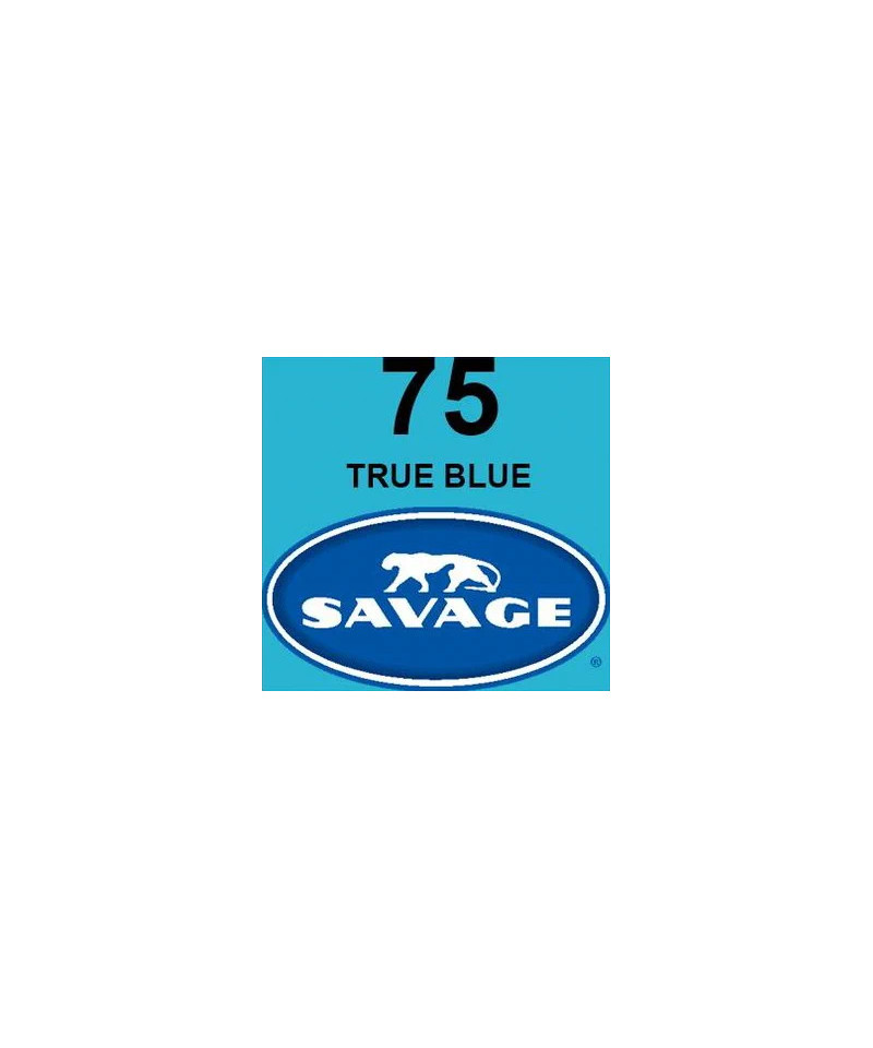 Universal True Blue Seamless Paper Blu