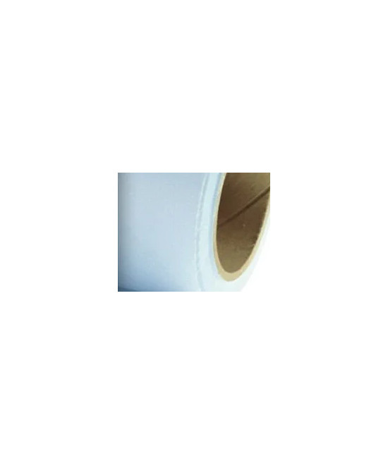 Fondale In cartoncino 2,72 x 11 Forget Me Not