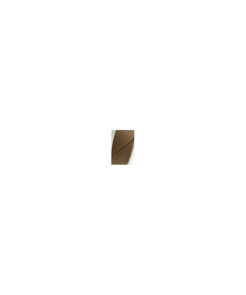 Fondale In cartoncino 2,72 x 11 Lobelia