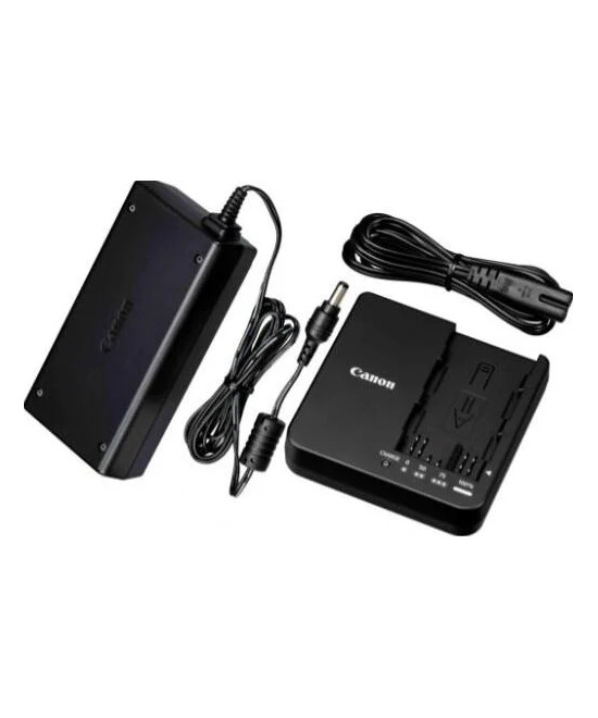 CG-A20 Batteria per videocamera AC