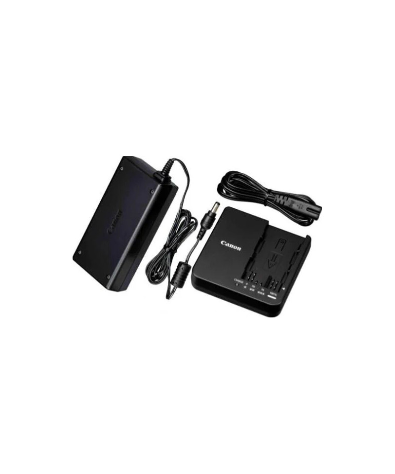 CG-A20 Batteria per videocamera AC