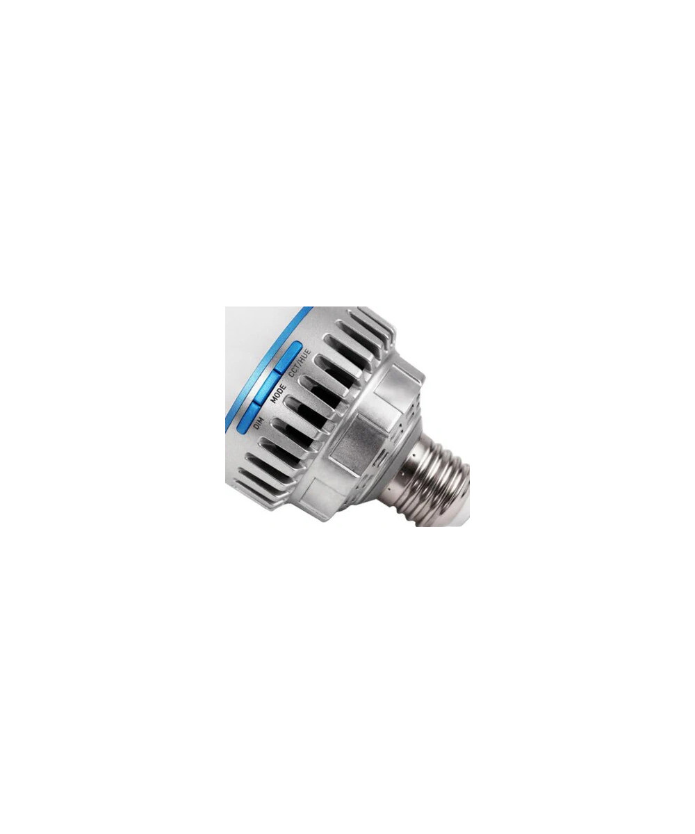 Pavo Bulb 10C RGBWW