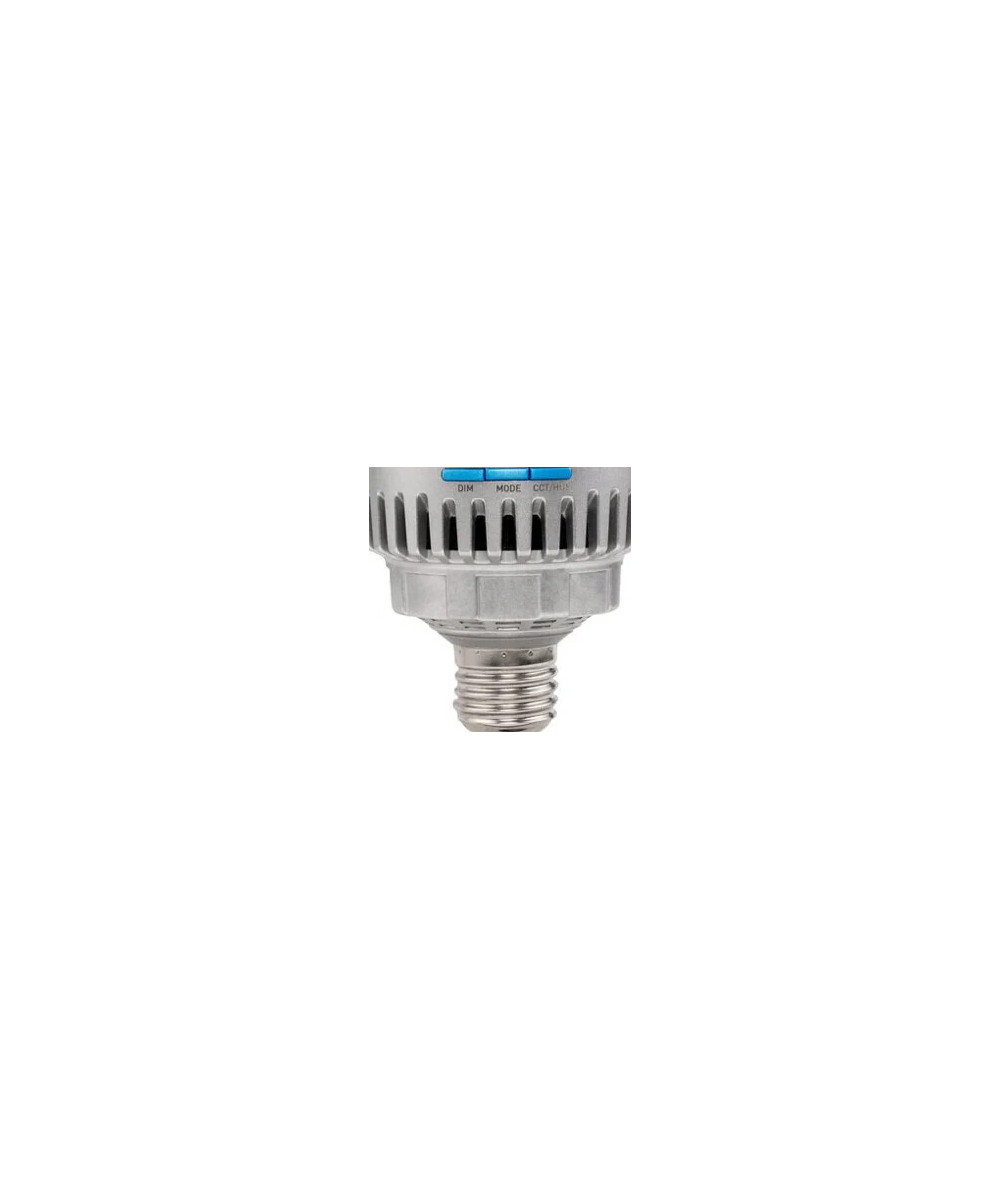 Pavo Bulb 10C RGBWW
