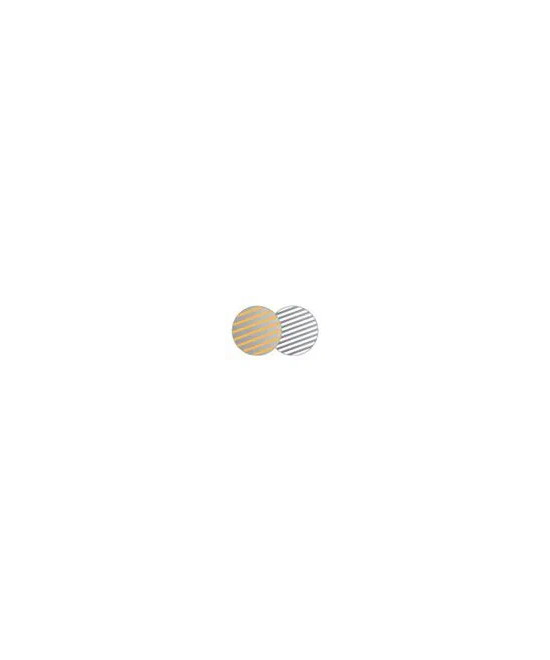 Lastolite Circular Reflector