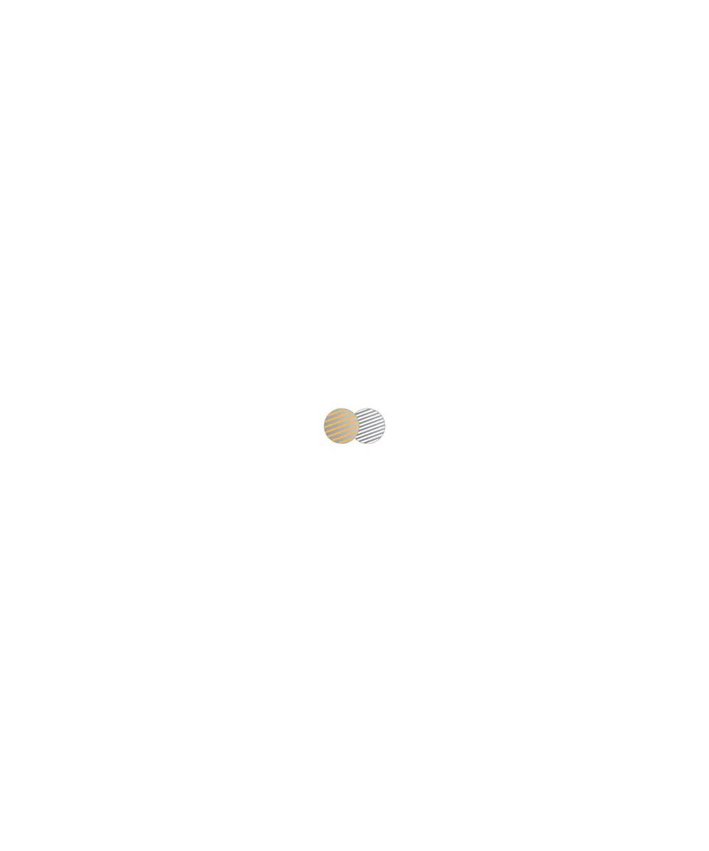 Lastolite Circular Reflector