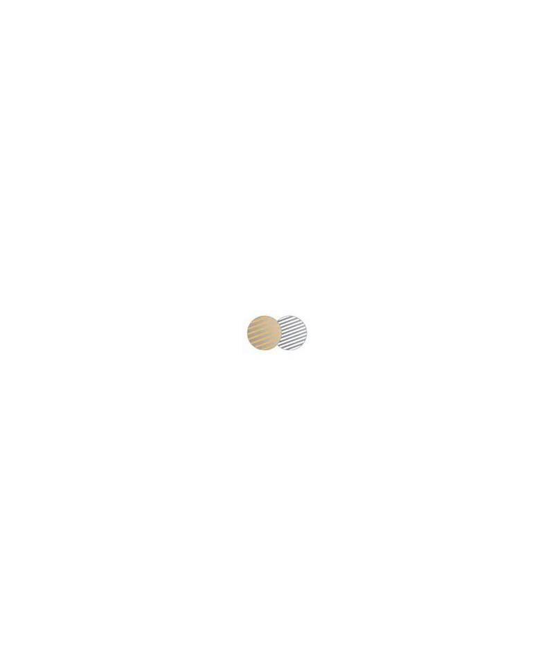 Lastolite Circular Reflector
