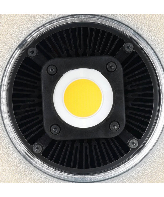 C60