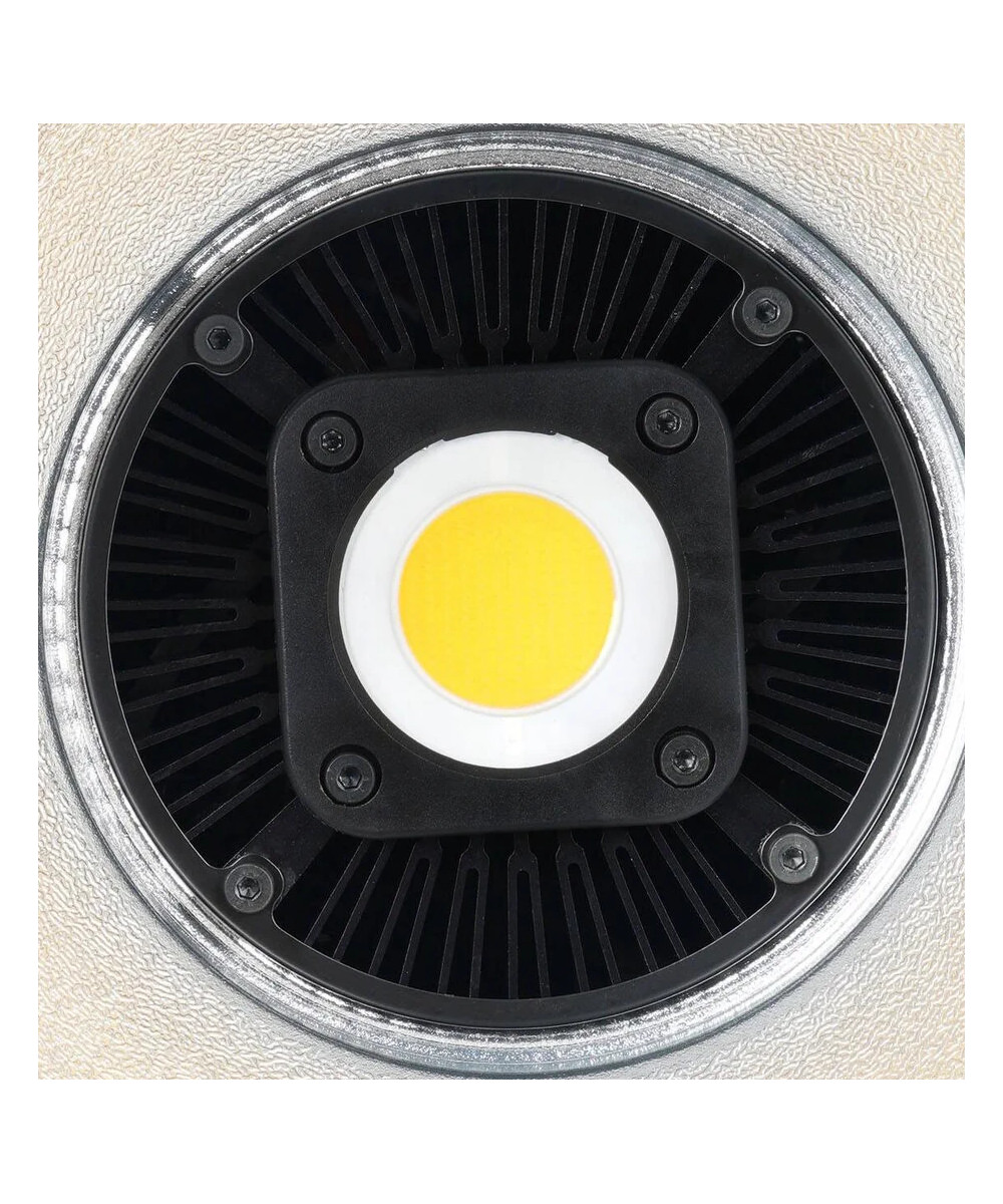 C60