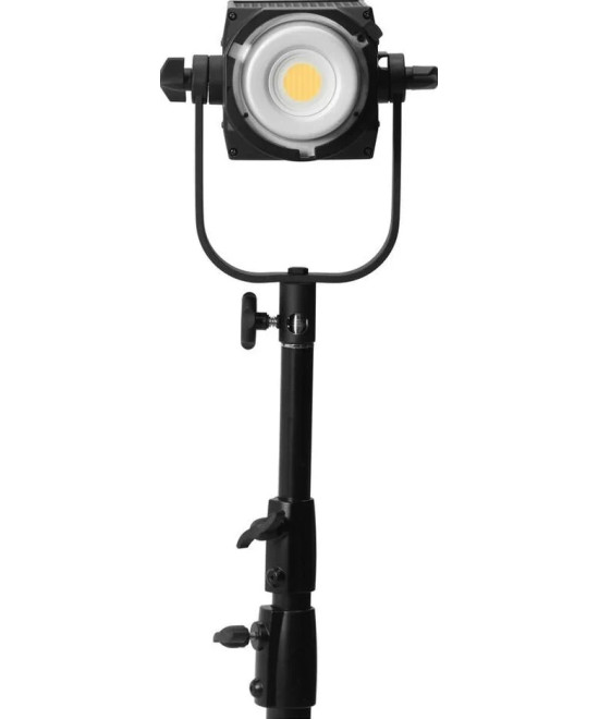 FS-200B Bicolor