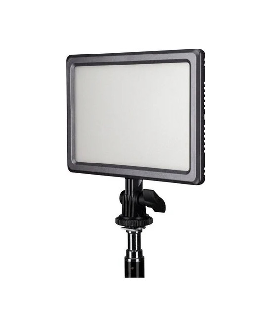LumiPad 11 Bi-Color
