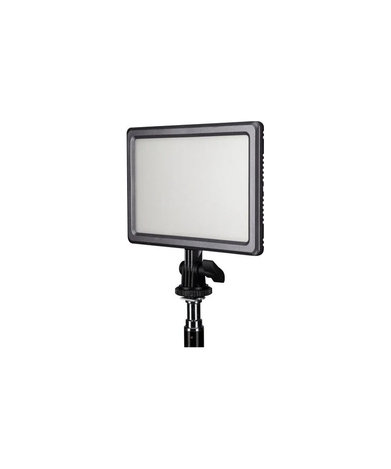 LumiPad 11 Bi-Color