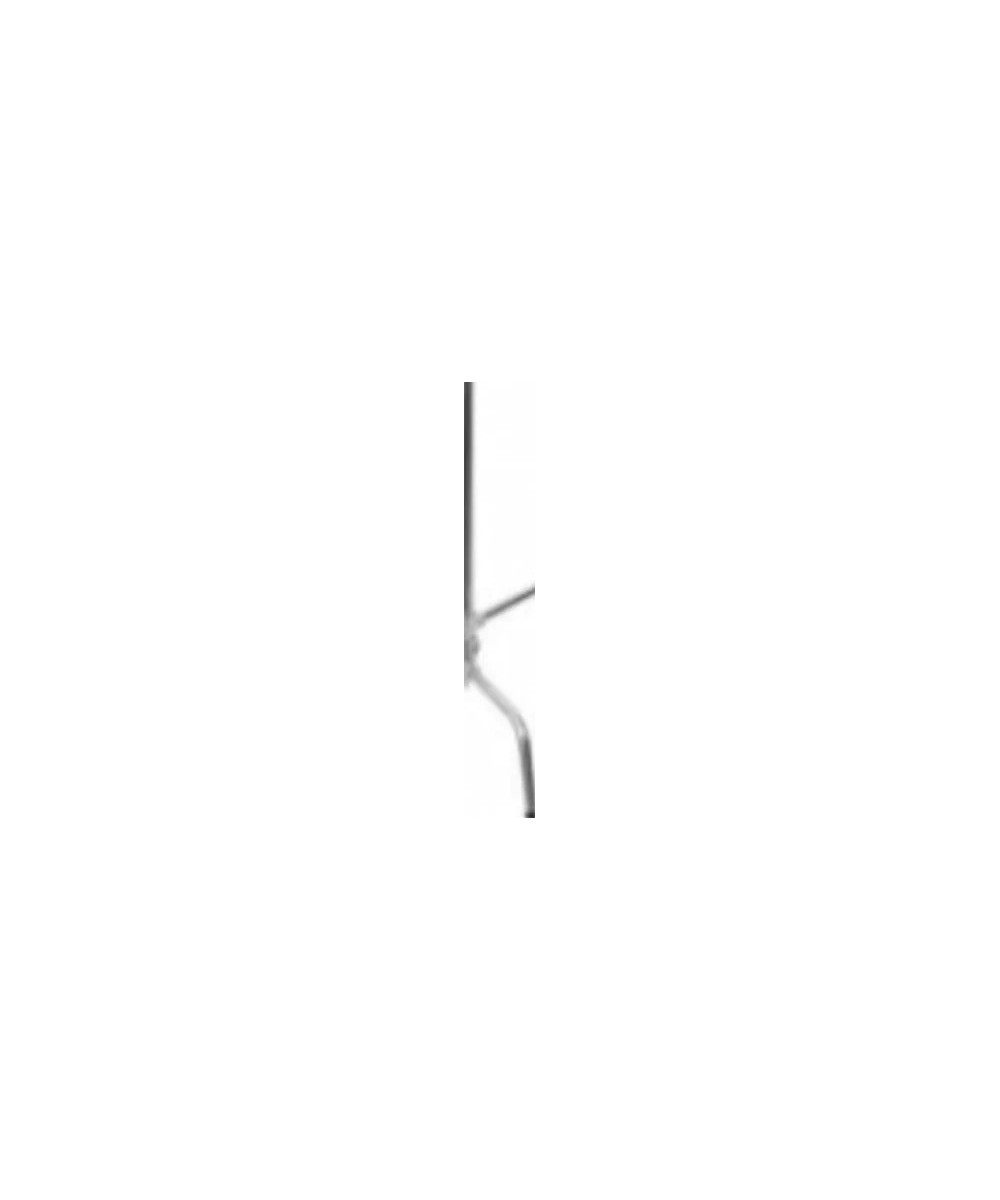 Stativo A Giraffa 270CS C-STAND Arm Kit Silver Iron
