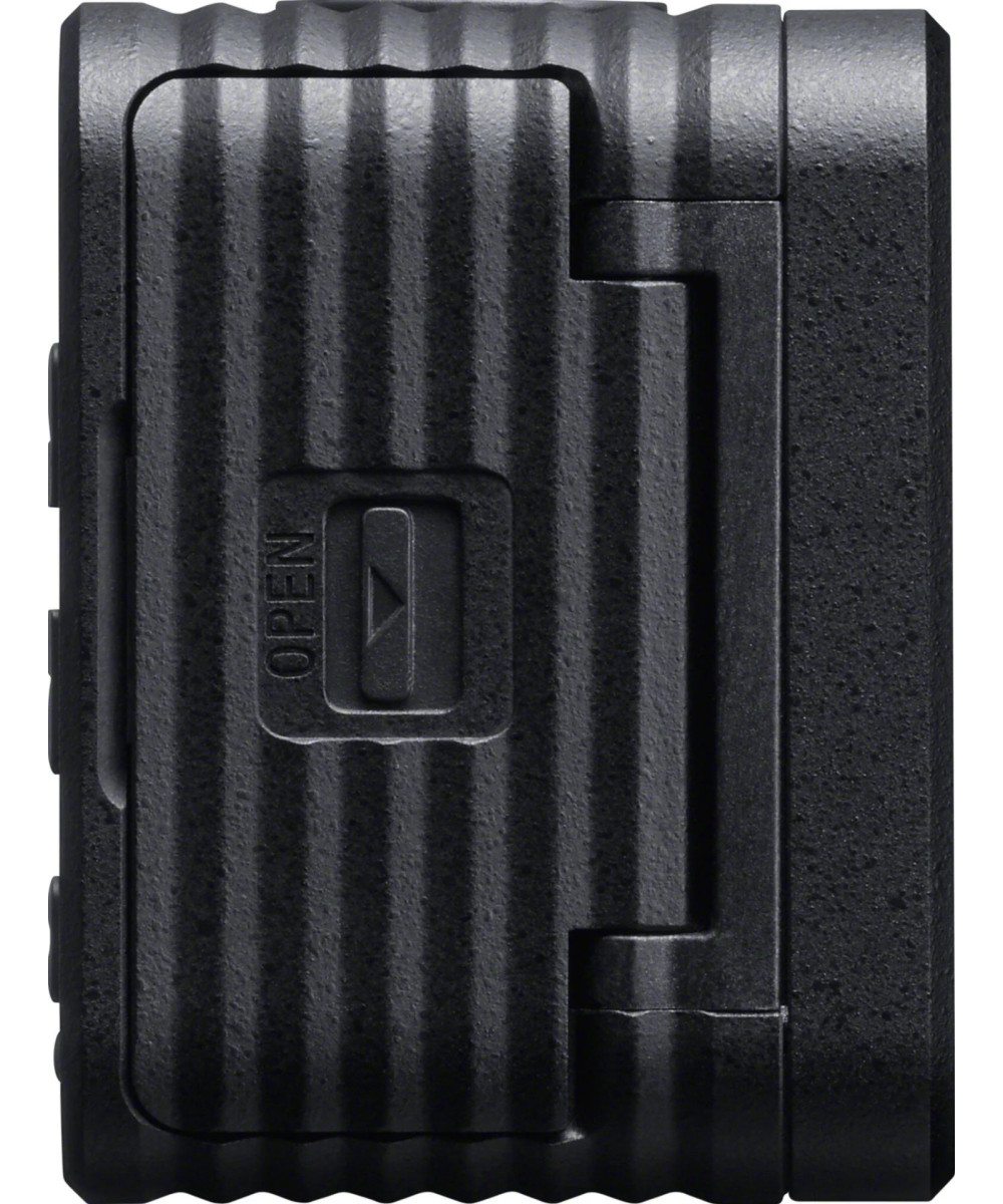 DSC-RX0