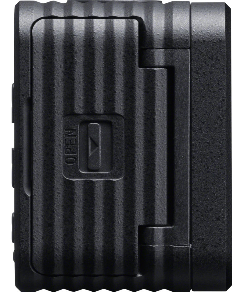 DSC-RX0