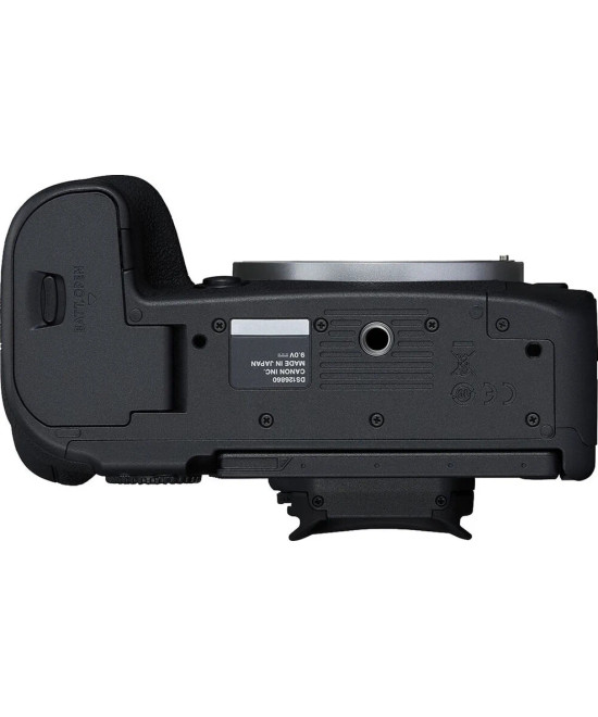 EOS R6 Mark II Body