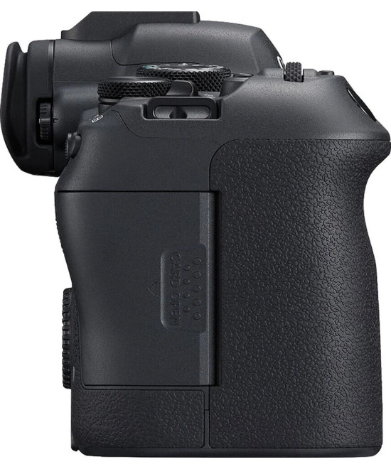 EOS R6 Mark II + RF 24-105mm f/4-7.1 IS STM