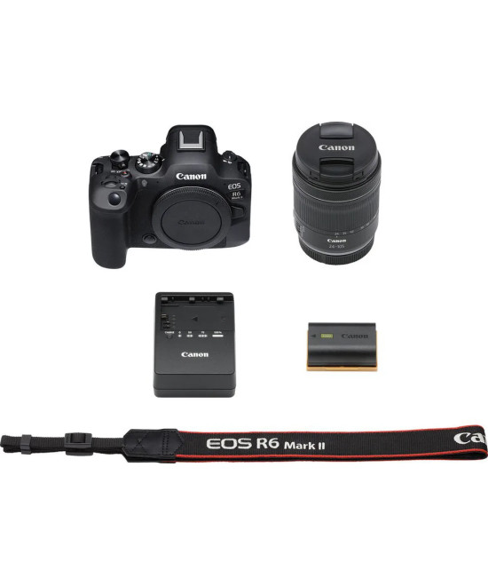 EOS R6 Mark II + RF 24-105mm f/4-7.1 IS STM