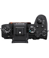 Alpha 1