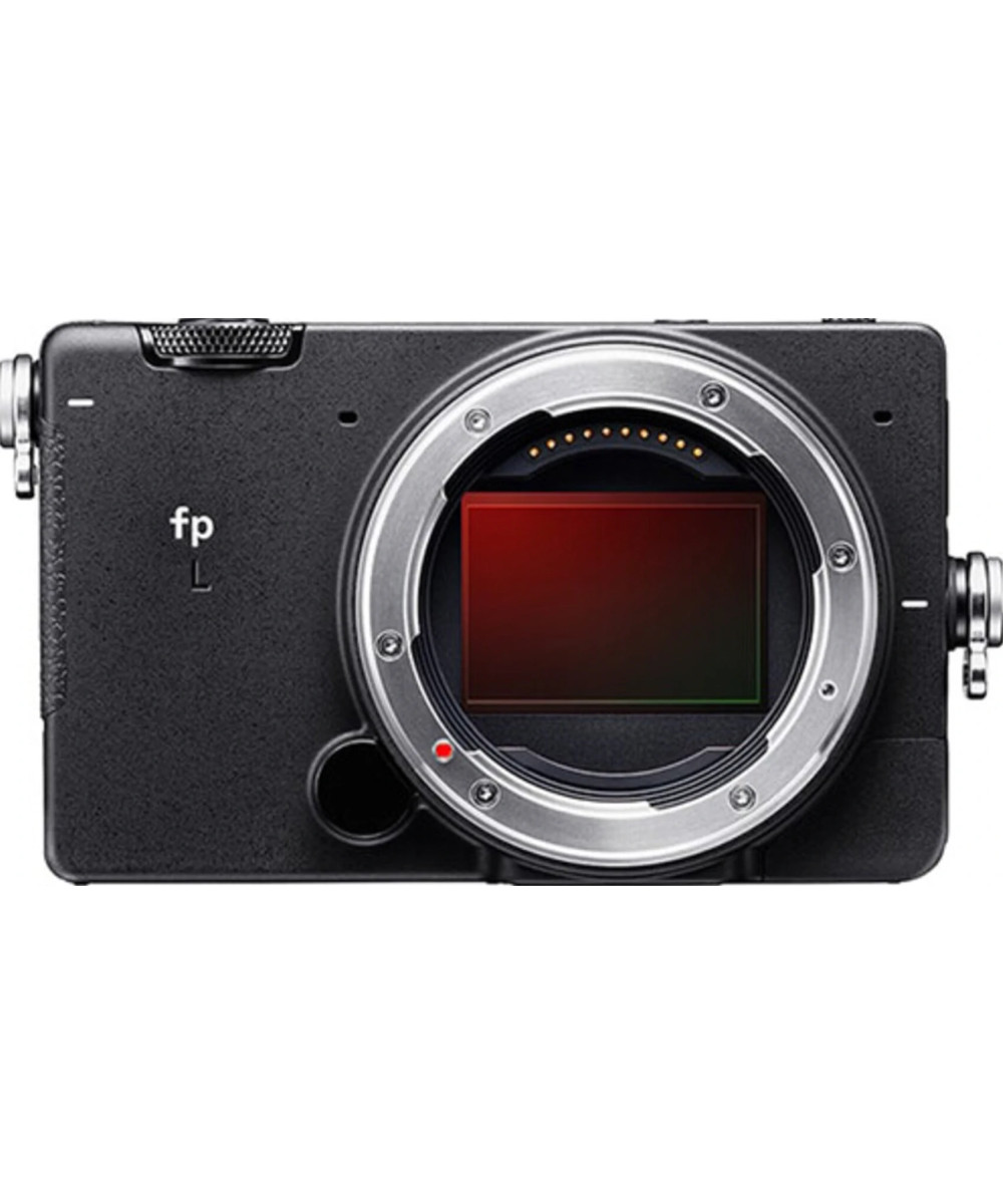 FP L Body