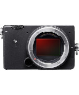 FP L Body