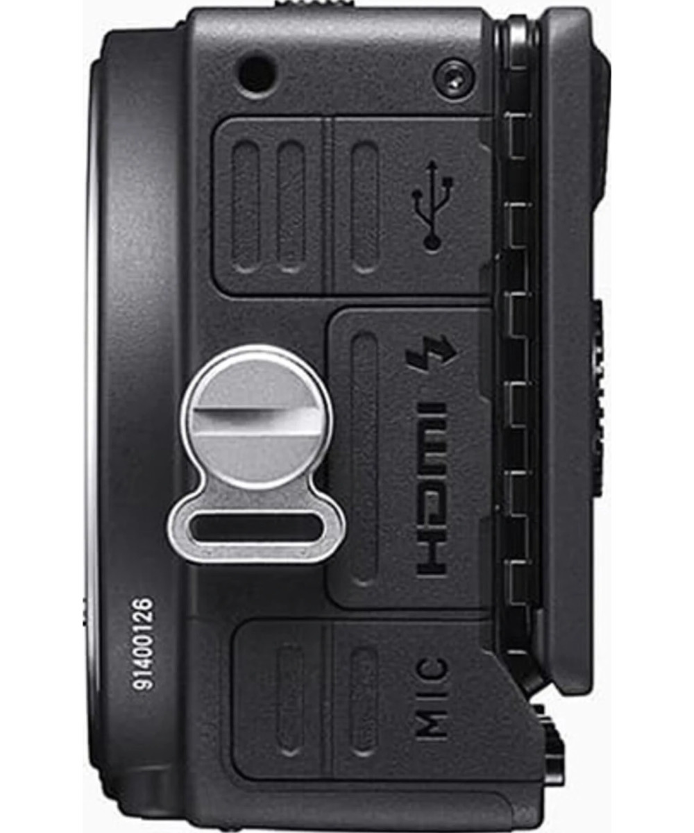 FP L Body