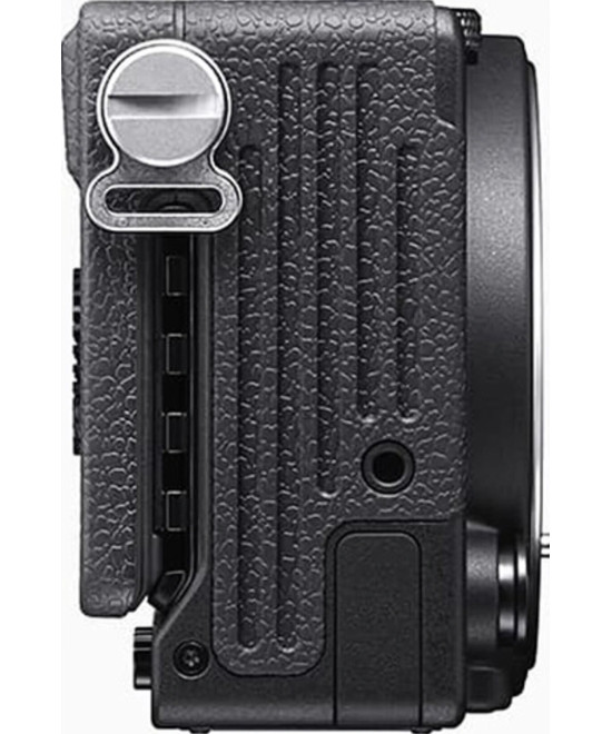 FP L Body