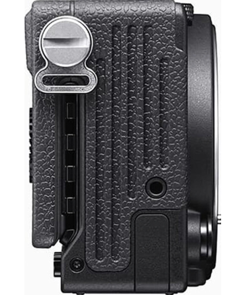 FP L Body