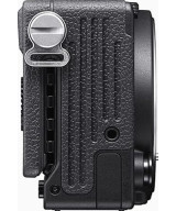 FP L Body