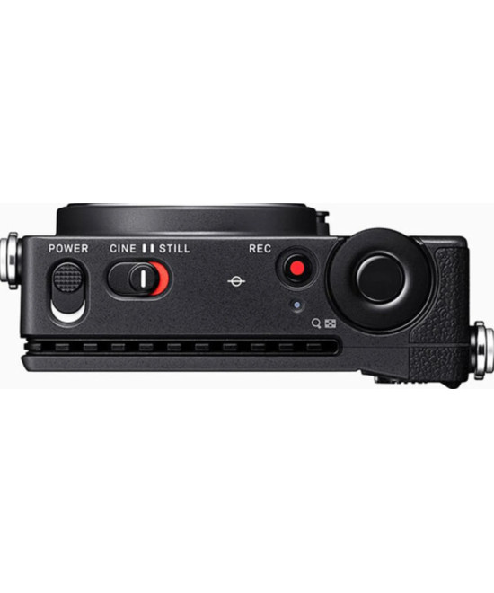 FP L Body