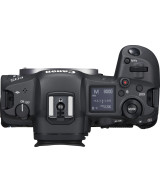 EOS R5 + RF 24-105mm f/4 L IS
