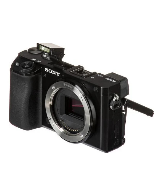 Alpha 6100 + SEL-P 16-50mm f/3.5-5.6 OSS II + SEL 55-210mm f/4.5-6.3 OSS