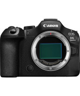 EOS R6 Mark III + RF 24-105mm f/4 L IS USM