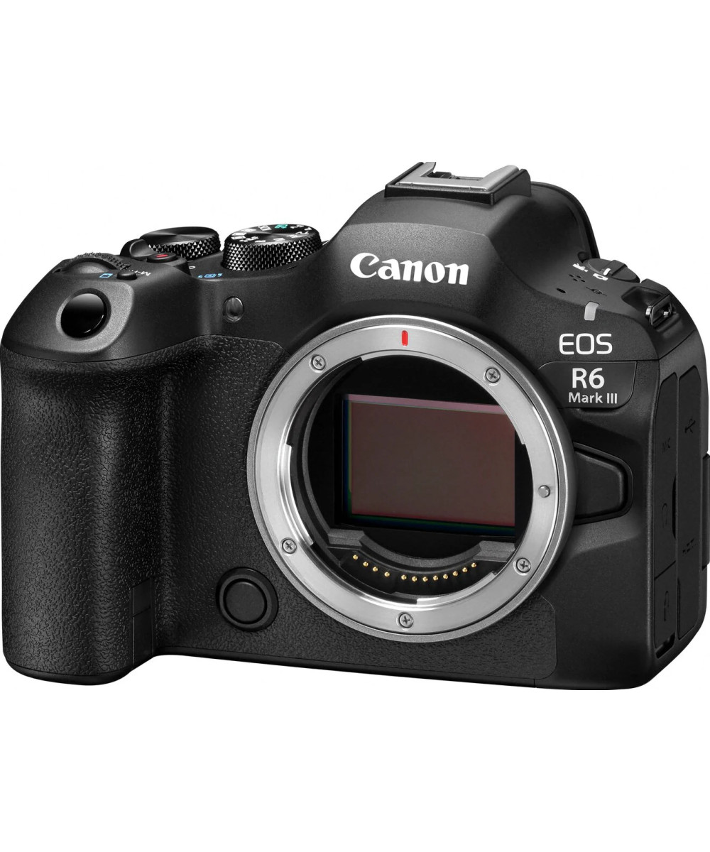 EOS R6 Mark III + RF 24-105mm f/4 L IS USM