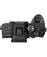 Alpha 7 V Body