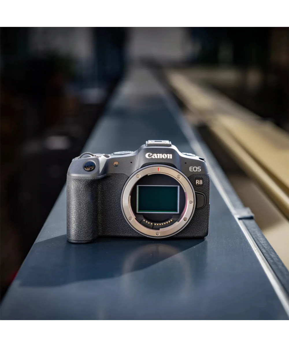Fotocamera mirrorless Canon 5803C095 EOS R8 Kit RF 24 105mm F4 7.1 IS Kit RF 24 105mm F4 7.1 IS STM