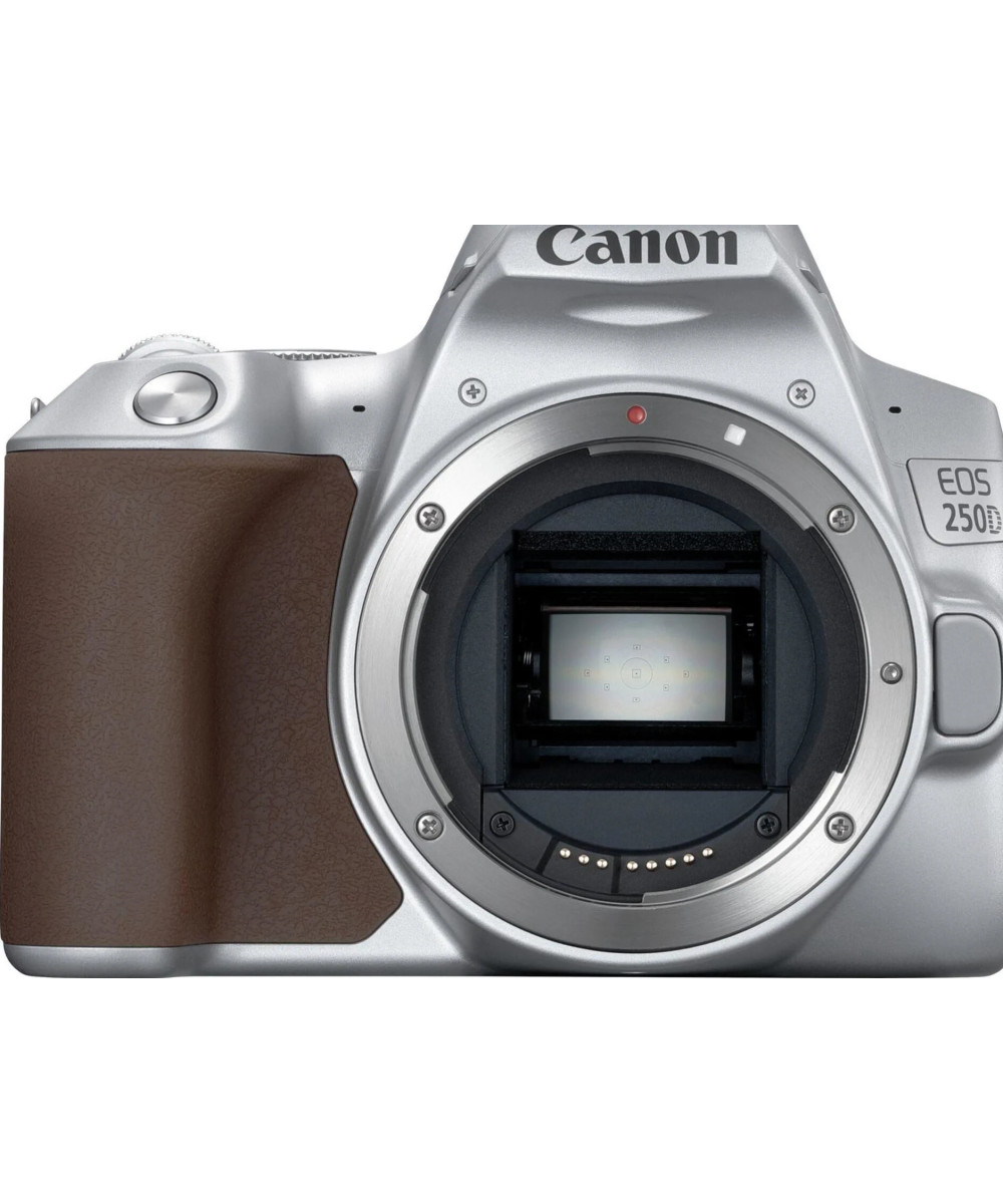 EOS 250D + EF-S 18-55mm f/4-5.6 IS STM Argento