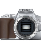 EOS 250D + EF-S 18-55mm f/4-5.6 IS STM Argento